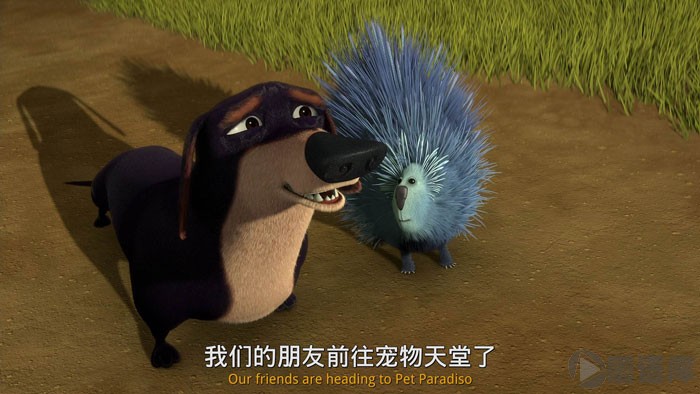 04.jpg